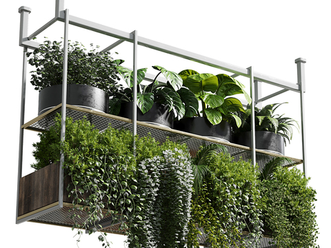 Modern Plant Pot Hanging Basket