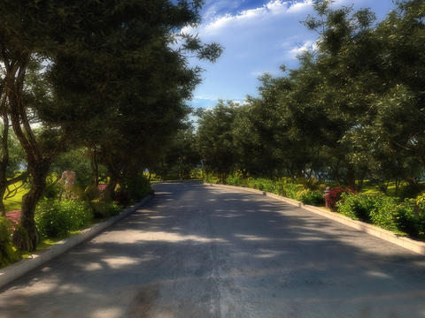 Modern Road Round Forest Landscape