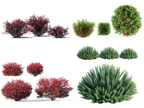 Modern bushes and greenery