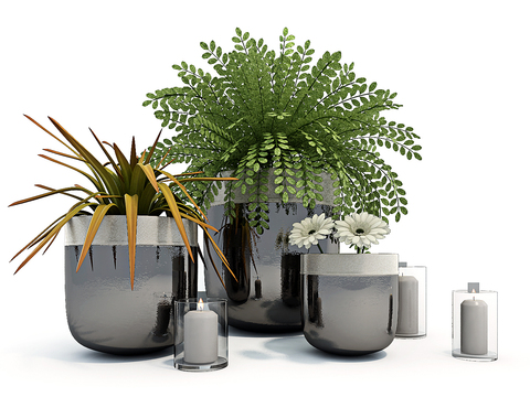 Modern plants potted free