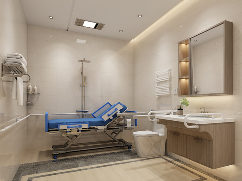 Private bathroom for modern nursing patients