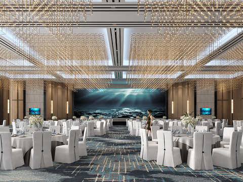 Modern Hotel Ballroom