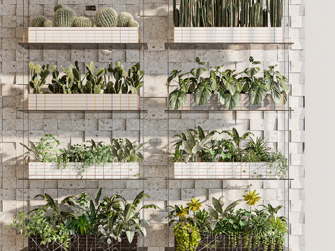 succulents greenery wall