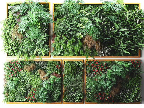 Modern Green Plants and Plants Wall