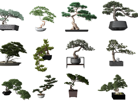 Neo-Chinese Style Welcome Pine Bonsai