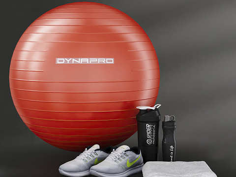 Modern Yoga Ball Sporting Goods