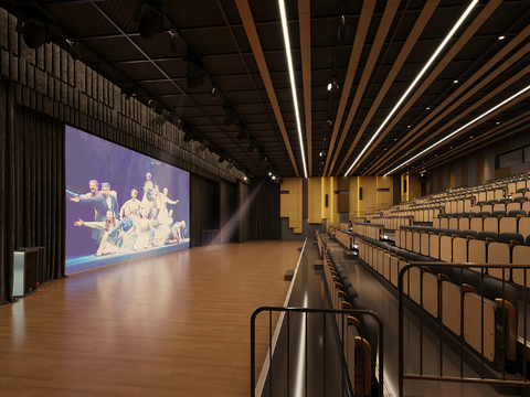 Modern Cinema Projection Hall