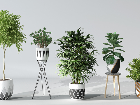 Modern plants potted free