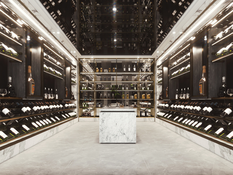 Modern Affordable Luxury Style Wine Cellar