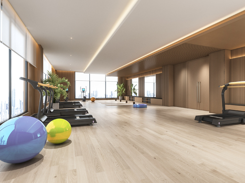 Modern Gym Yoga Studio