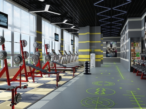 Modern Gym Strength Training Area