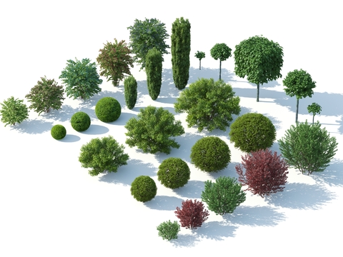 Modern Trees and Shrubs