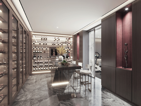 Modern Wine Cellar Tasting Room