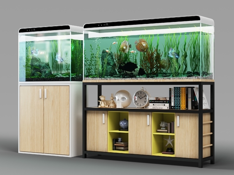 Modern aquarium aquarium combination