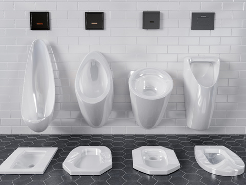 Modern Urinal Squat Toilet