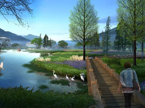 modern wetland bridge landscape psd