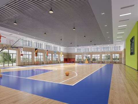 Modern Basketball Gymnasium