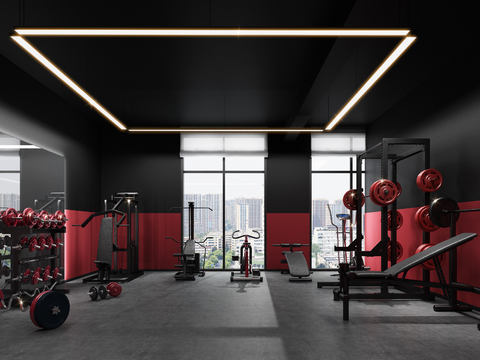 Modern senior gray gym