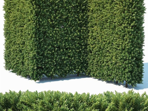 modern fence shrub hedge