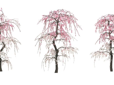 peach blossom tree big tree landscape tree psd