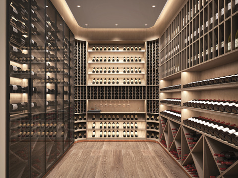 Modern Wine Cellar