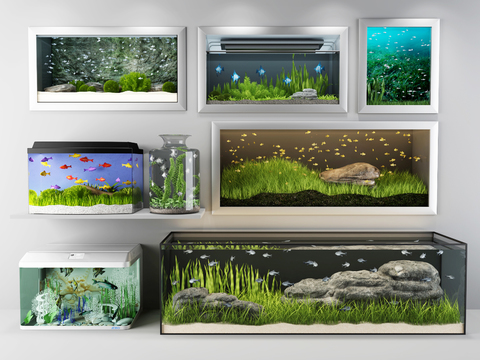 Modern ecological fish tank combination