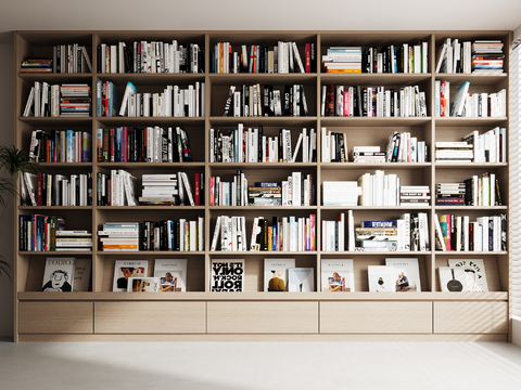 Modern Bookcase Bookshelf Books