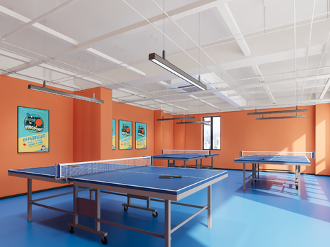 Modern table tennis room