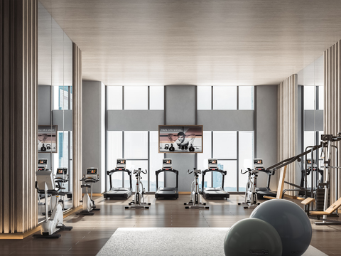 Modern Gym