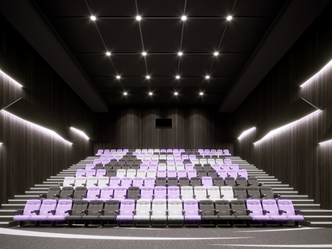 Modern Cinema Projection Hall