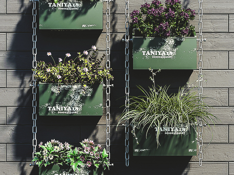 Modern Green Plant Hanging Basket