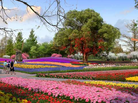 Modern Flower Sea Park Landscape psd