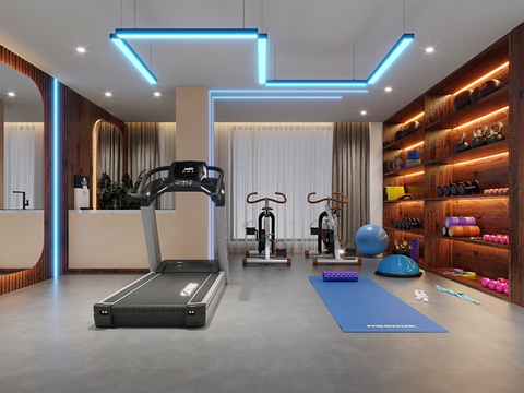 Modern Gym