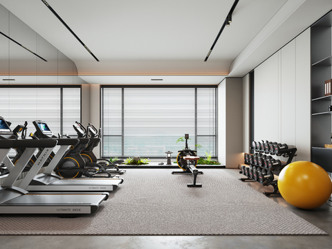 Home Gym Leisure Room