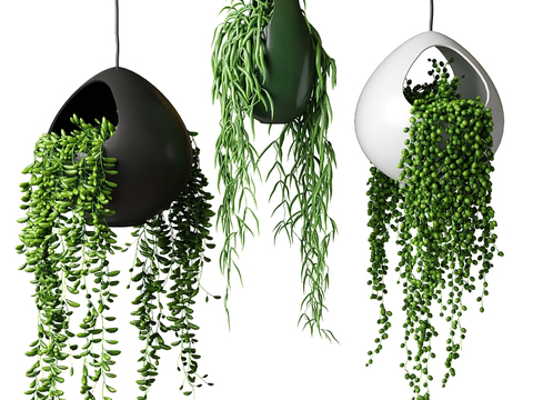 Modern Metal Plant Hanging Basket