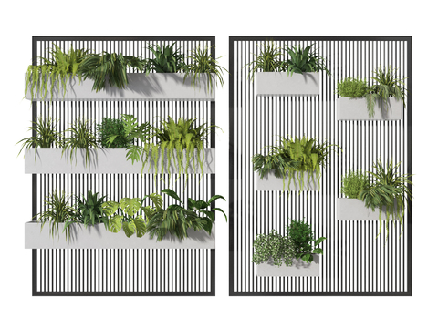 Plant Wall Fern Flower Box