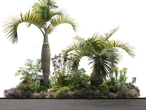 Modern Tropical Plants