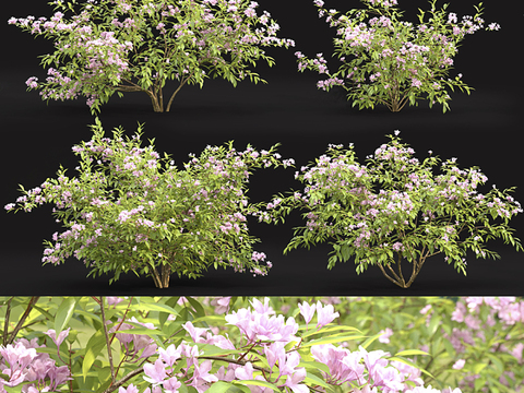 brocade flowers and green plants