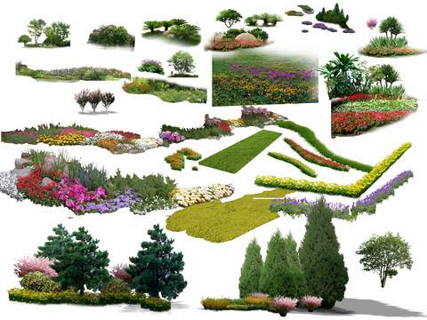 modern landscape tree flower lawn shrub psd