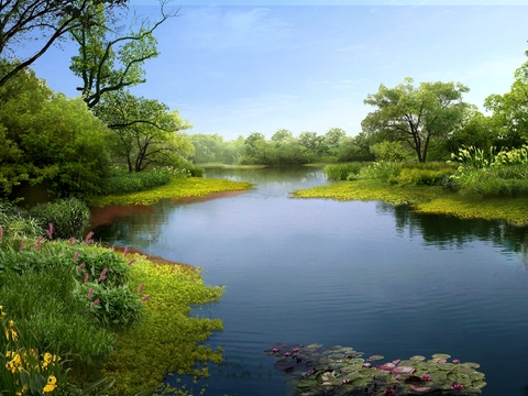 wetland park psd