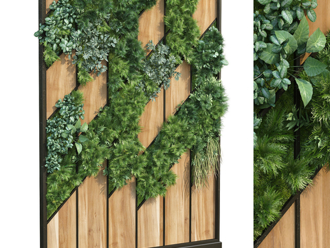 Modern moss green plant wall