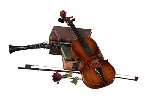 Violin instrument