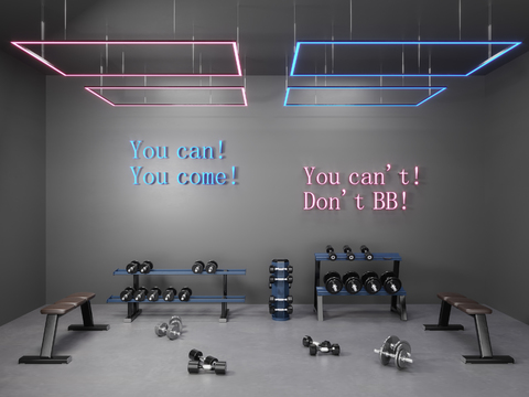 Modern gym dumbbell area