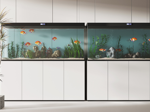 Modern fish tank