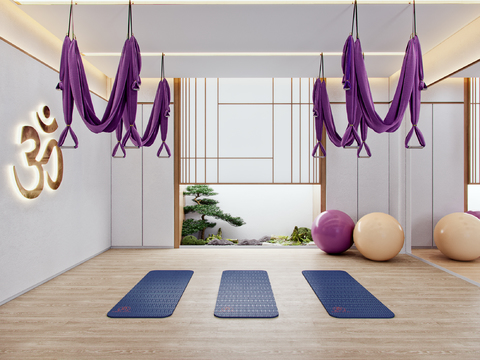 Japanese Yoga Studio Gym