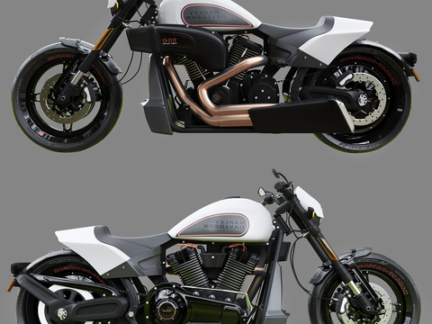 Modern Harley Motorcycle