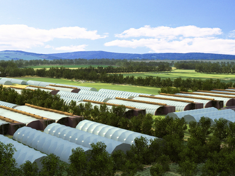 Modern agricultural greenhouse landscape