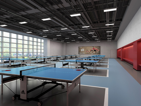 Modern table tennis room