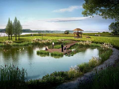 modern wetland bridge landscape psd