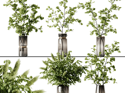 Modern hydroponic plant vase